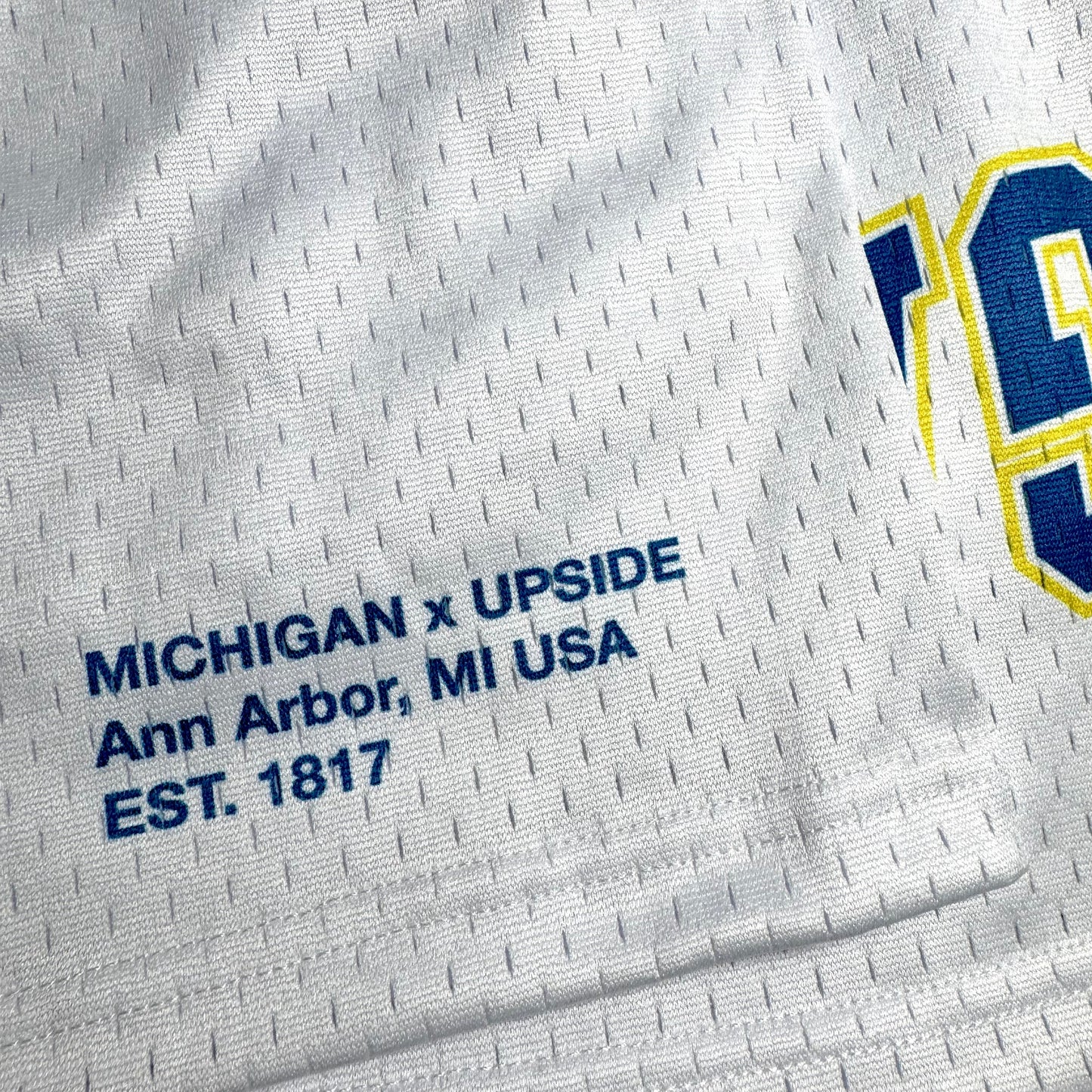 Michigan Mesh Shorts | Exclusive