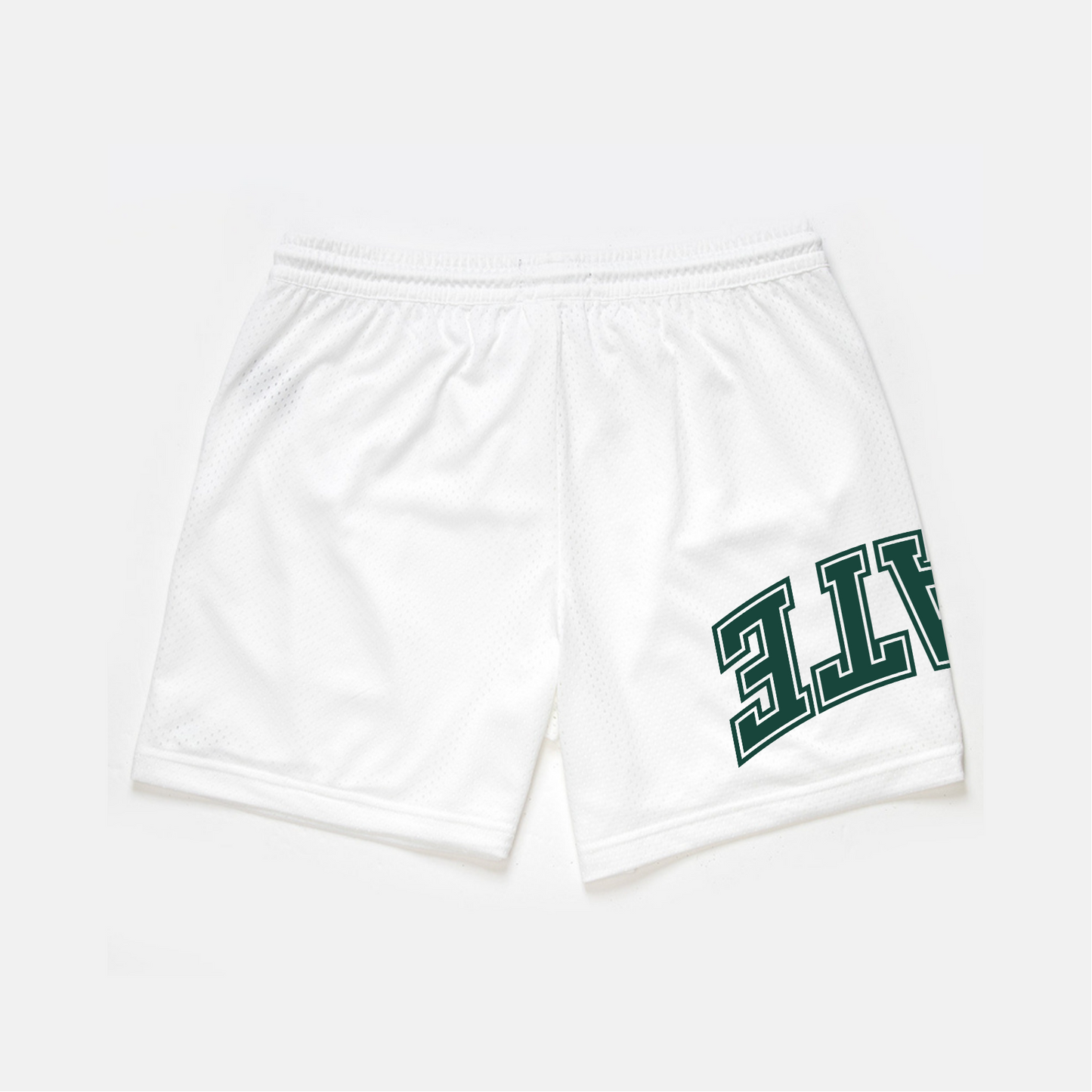 Michigan State Mesh Shorts | Exclusive