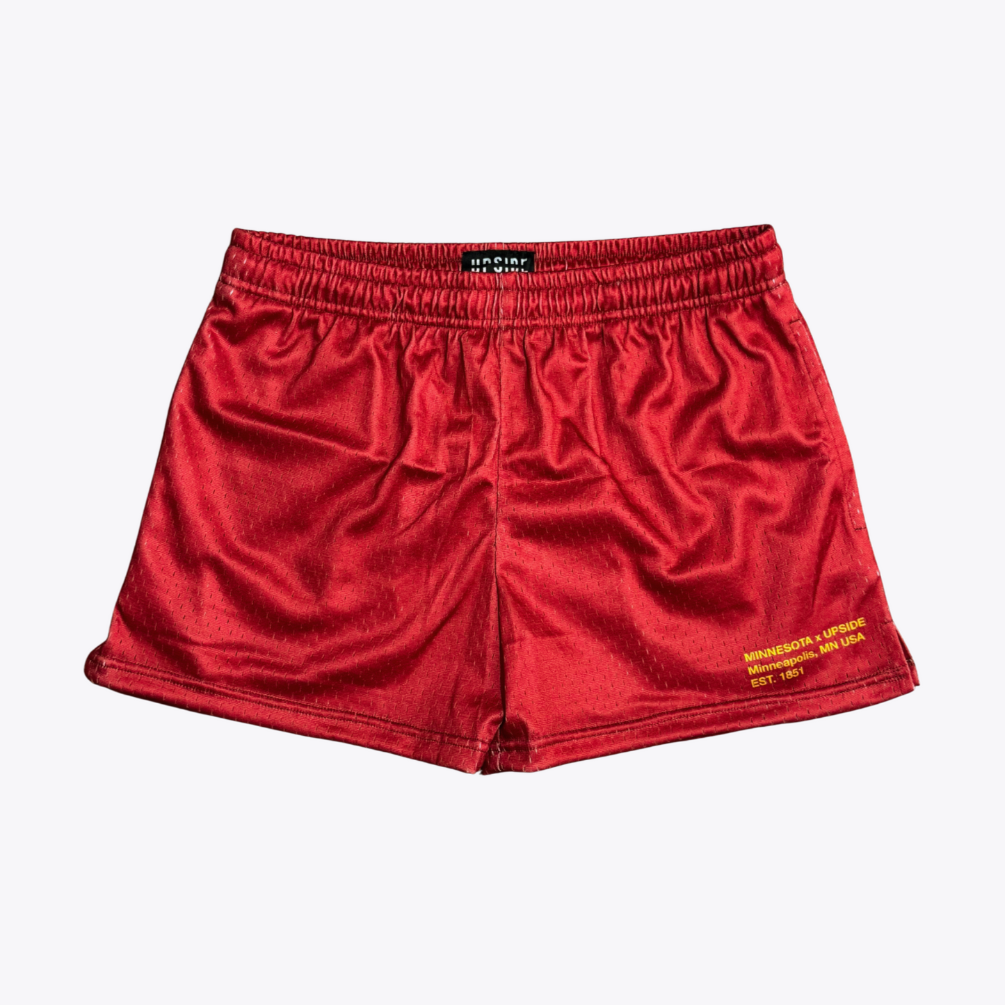 Minnesota Mesh Shorts | Women