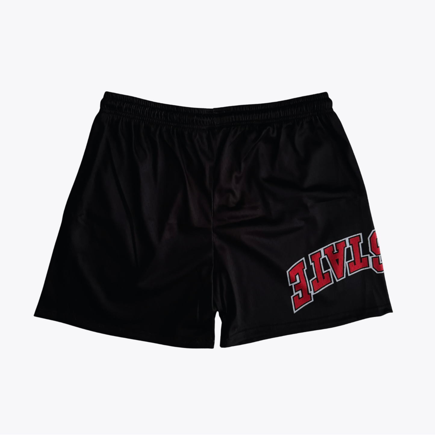 Ohio State x Upside Mesh Shorts