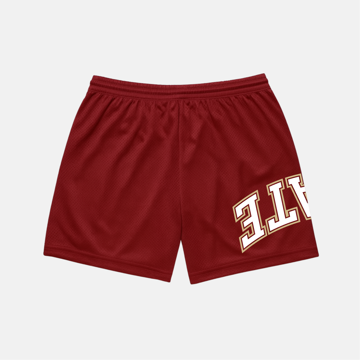 Florida State x Upside Mesh Shorts
