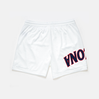 Arizona Mesh Shorts | Exclusive - UPSIDE