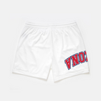 Arizona Mesh Shorts | Exclusive - UPSIDE