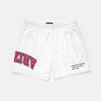 Arizona Mesh Shorts | Exclusive - UPSIDE