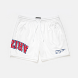 Arizona Mesh Shorts | Exclusive - UPSIDE