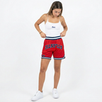 Florida Atlantic Varsity Mesh Shorts