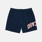 Chicago x Upside Mesh Shorts | Limited Edition