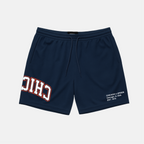 Chicago x Upside Mesh Shorts | Limited Edition