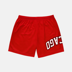 Chicago x Upside Mesh Shorts | Limited Edition