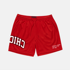 Chicago x Upside Mesh Shorts | Limited Edition