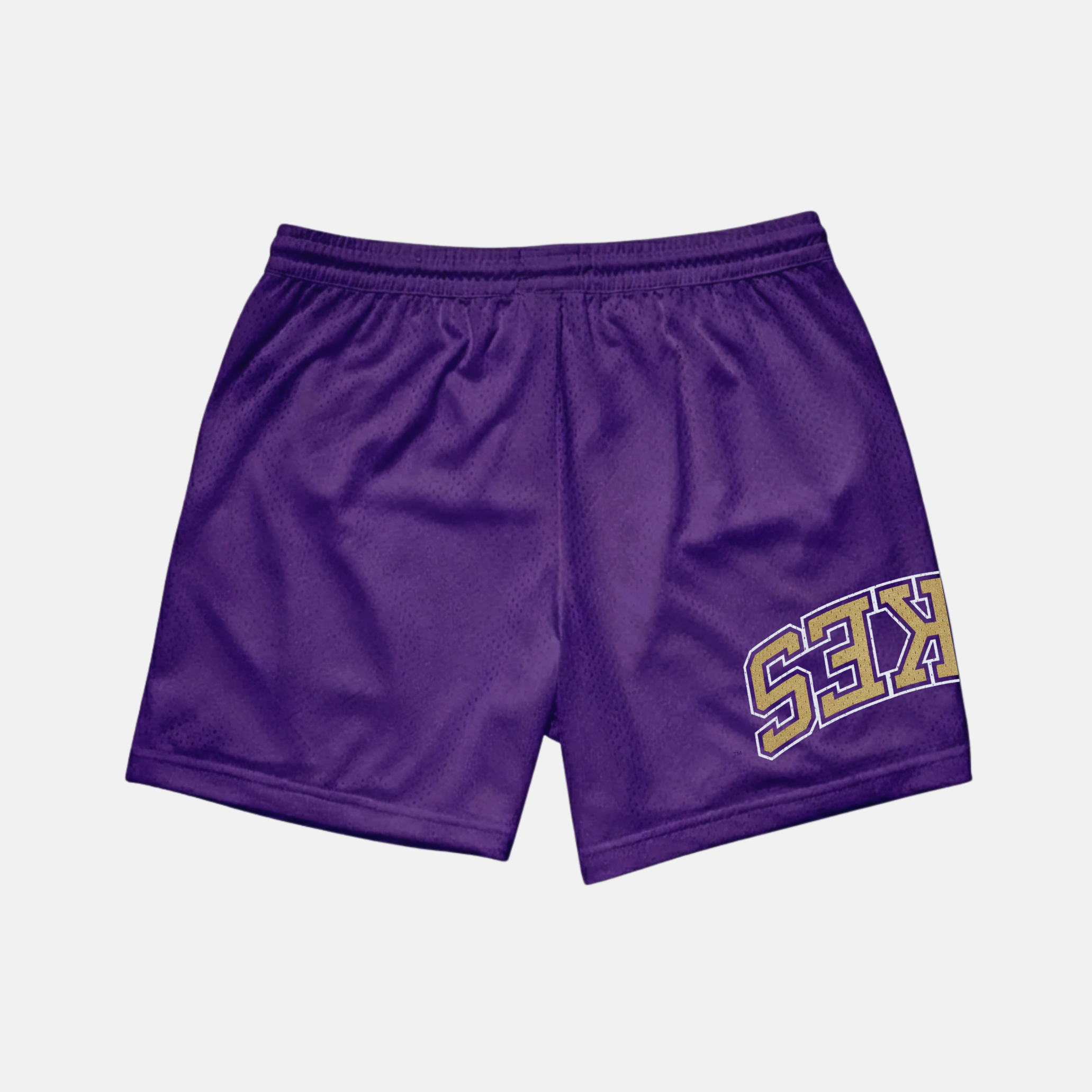JMU x Upside Mesh Shorts
