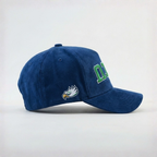 FGCU Eagles Suede Hat