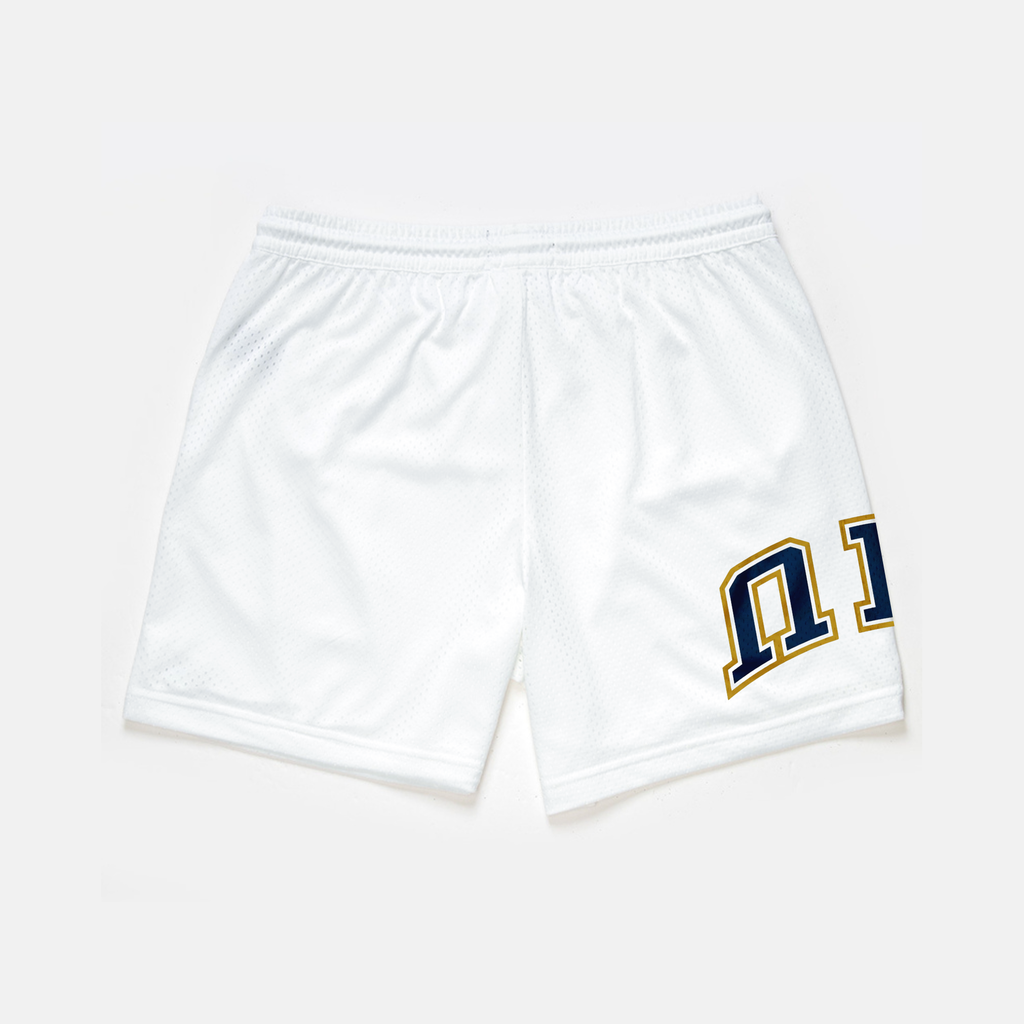 FIU Mesh Shorts | Exclusive - UPSIDE