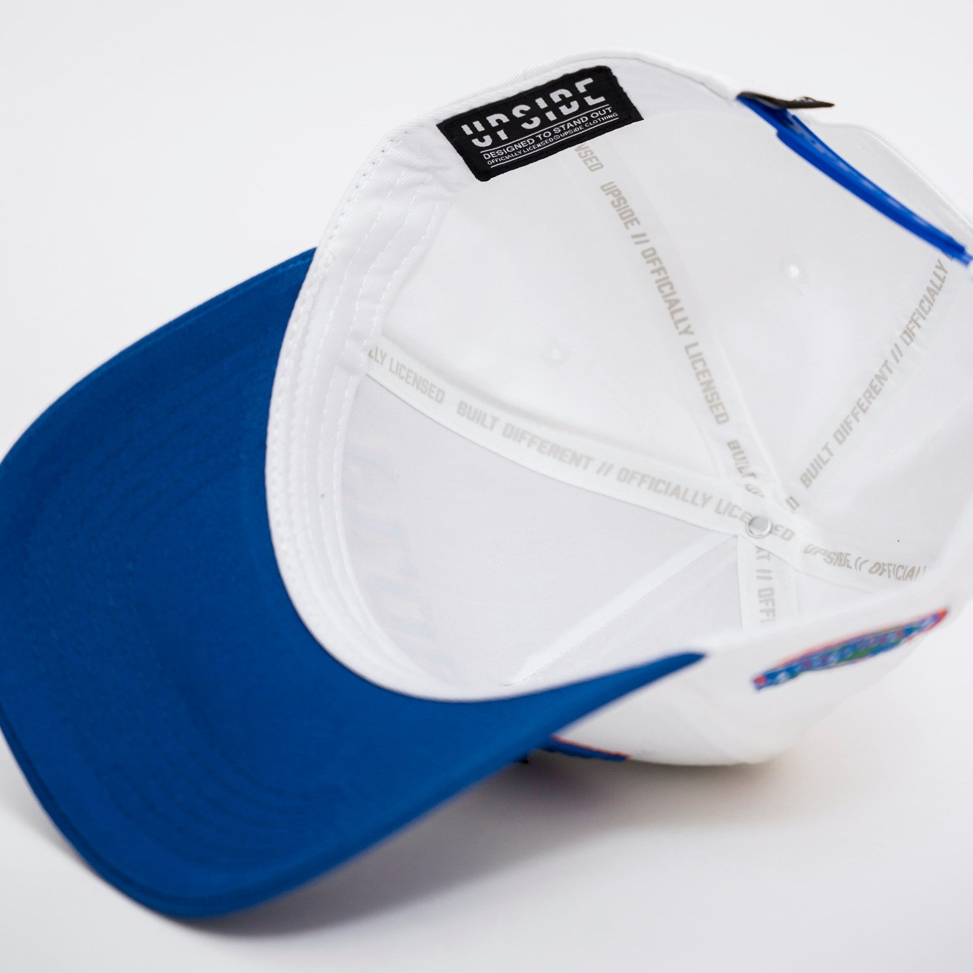 Florida Gators Hat