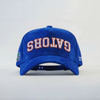 Florida Gators Suede Hat - UPSIDE
