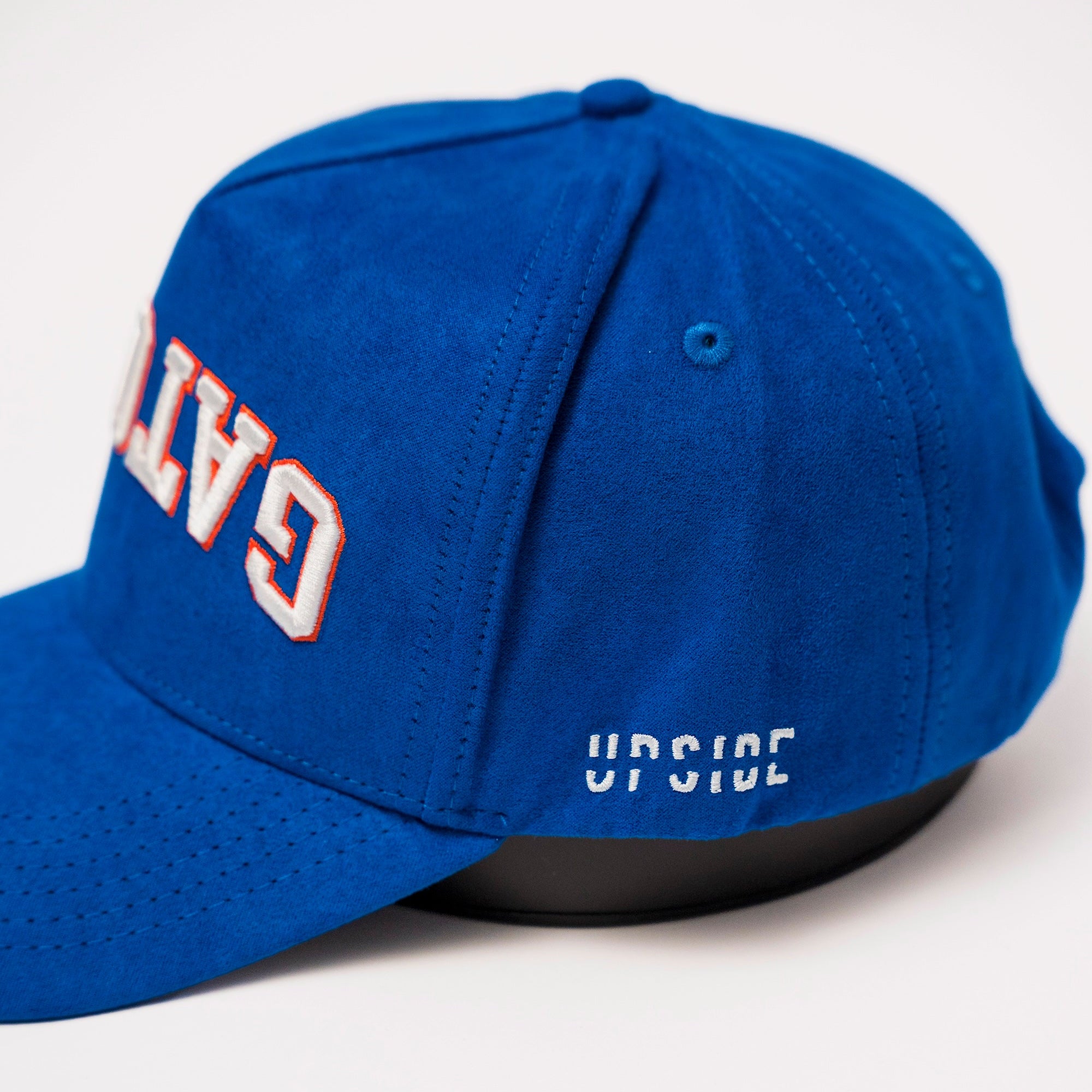 Florida Gators Suede Hat