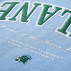 Tulane Essentials Hoodie