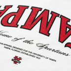 Tampa Essentials Oversized Tee