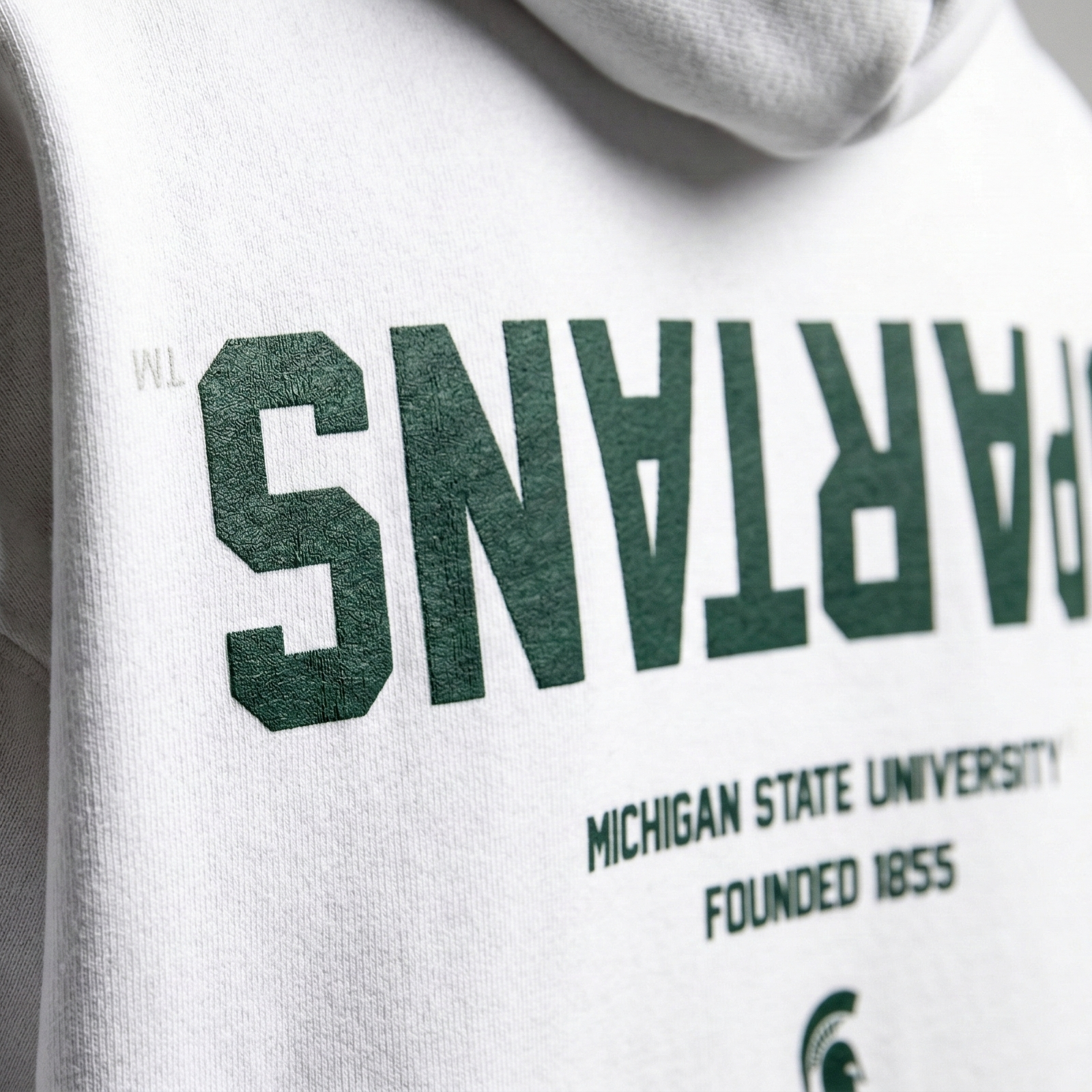 Michigan State Essentials Hoodie - UPSIDE