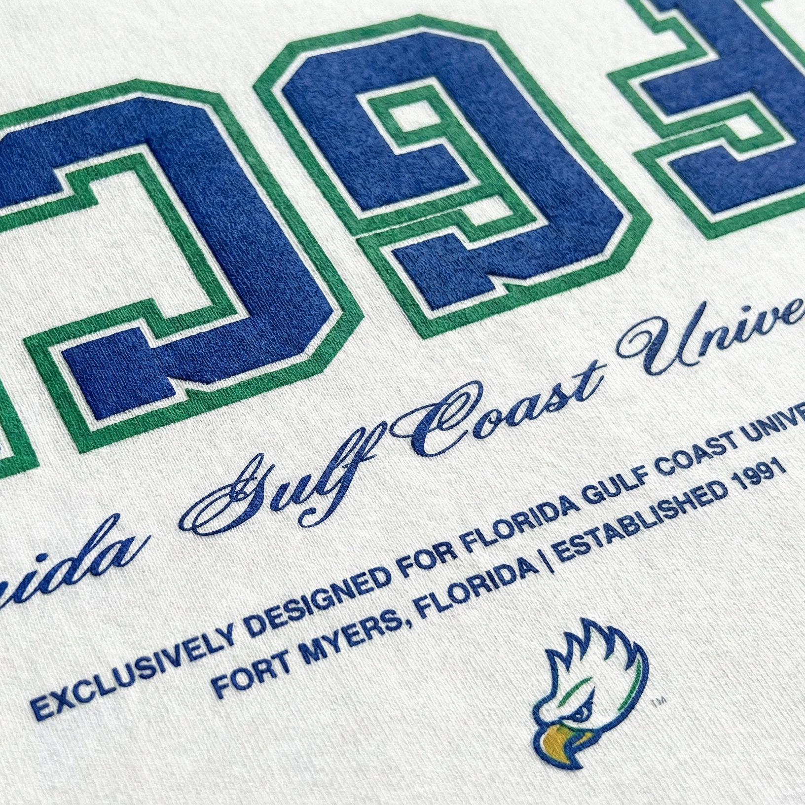FGCU Essentials Oversized Tee