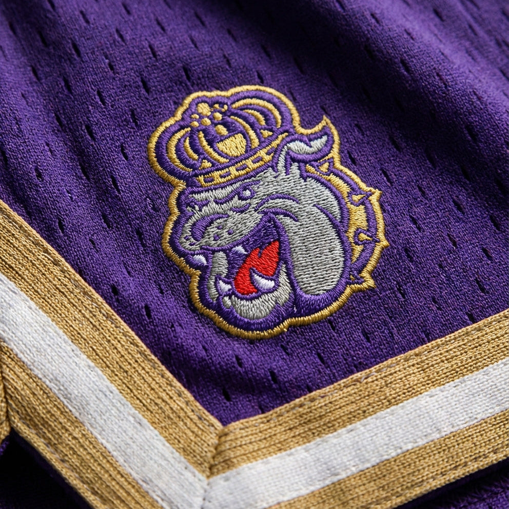 JMU Varsity Mesh Shorts - UPSIDE