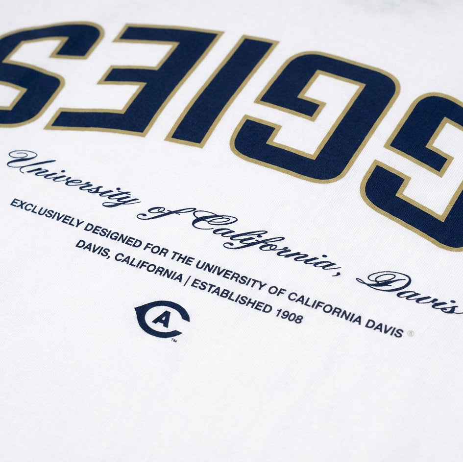 UC Davis Essentials Oversized Tee - UPSIDE
