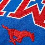 SMU Varsity Hoodie