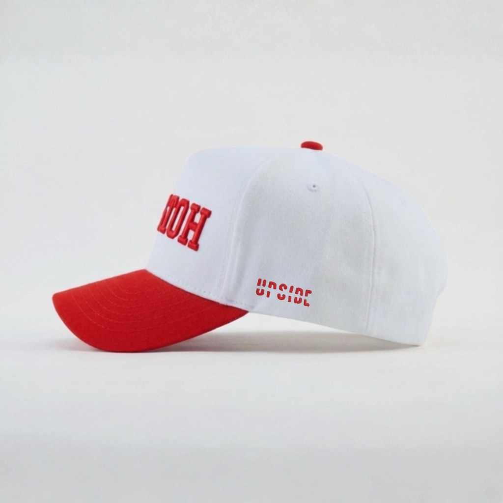 Houston Cougars Hat