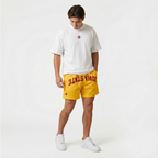 Iowa State Mesh Shorts