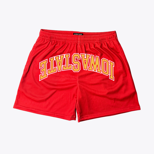 Iowa State Mesh Shorts