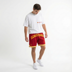Iowa State Varsity Mesh Shorts
