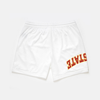 Iowa State Mesh Shorts | Exclusive
