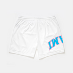 Miami Vice Mesh Shorts | Limited Edition