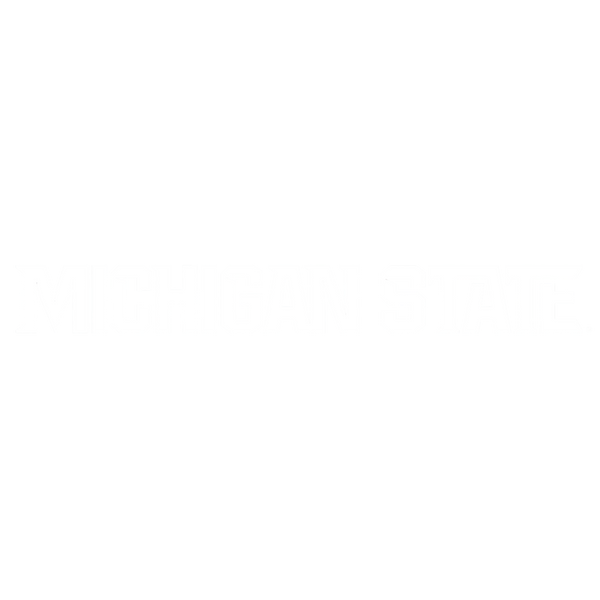 Michigan State Spartans wordmark