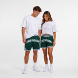 Michigan State Varsity Mesh Shorts - UPSIDE