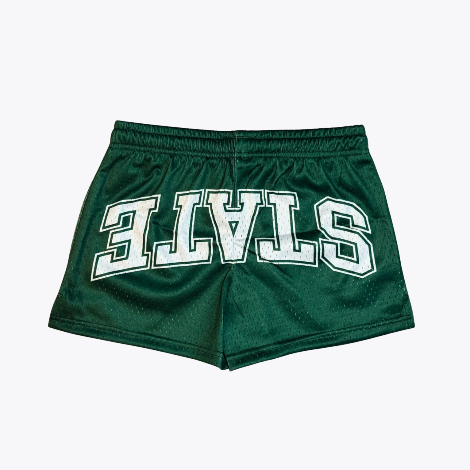 Michigan State Mesh Shorts | Women