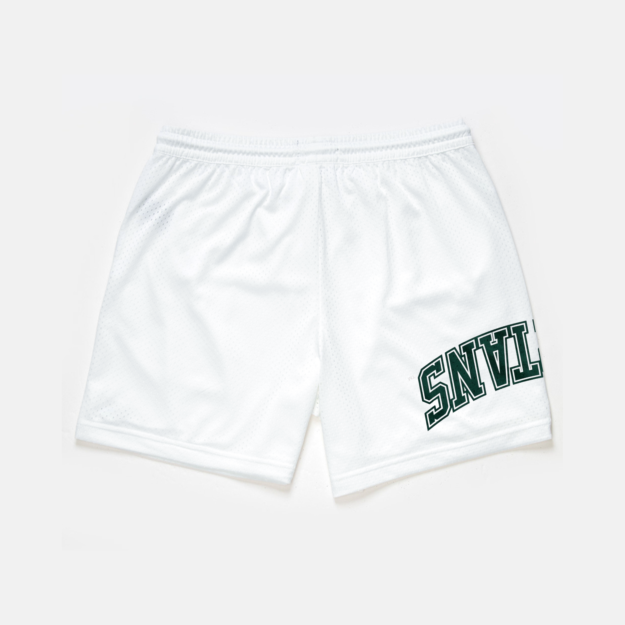 Michigan State Mesh Shorts | Exclusive - UPSIDE