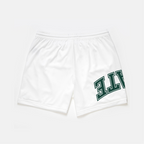 Michigan State Mesh Shorts | Exclusive - UPSIDE