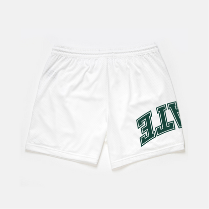 Michigan State Mesh Shorts | Exclusive