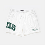 Michigan State Mesh Shorts | Exclusive - UPSIDE