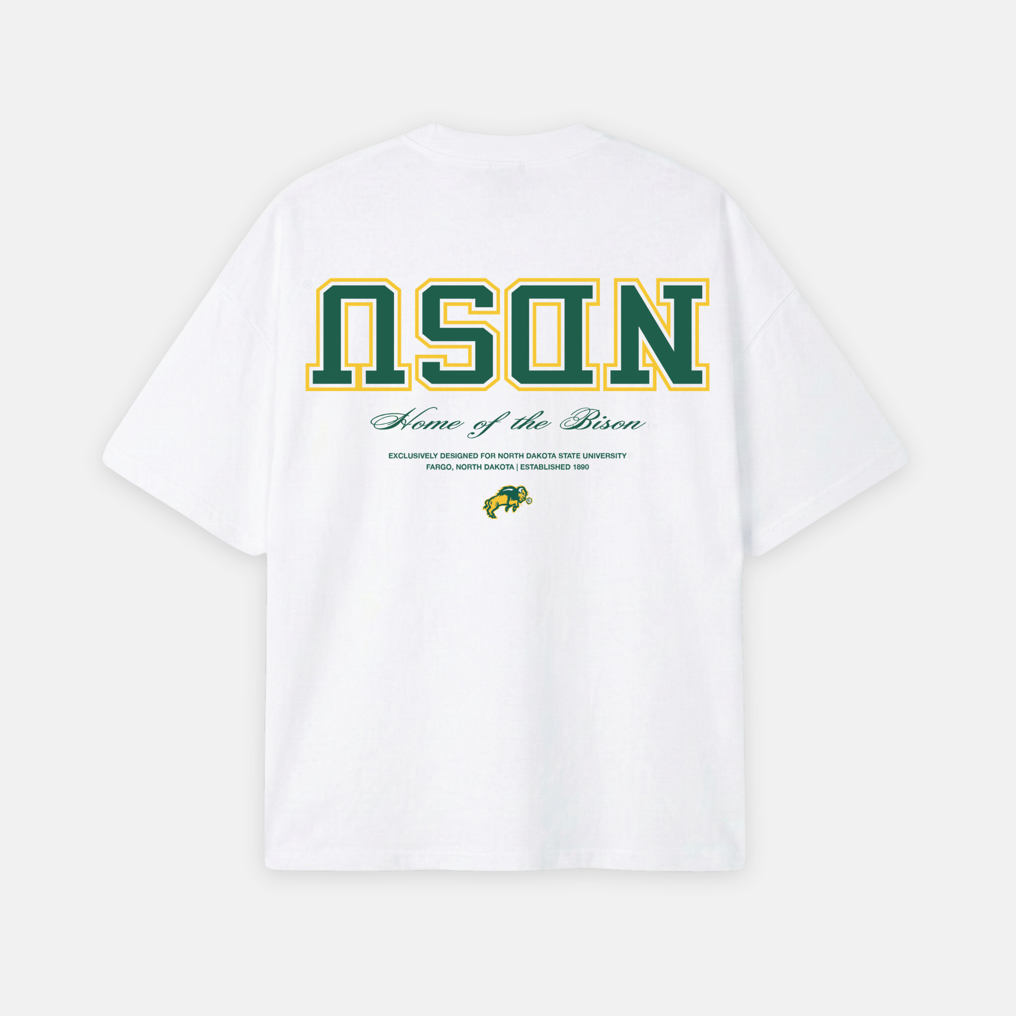 NDSU Bison Essentials Oversized Tee - UPSIDE