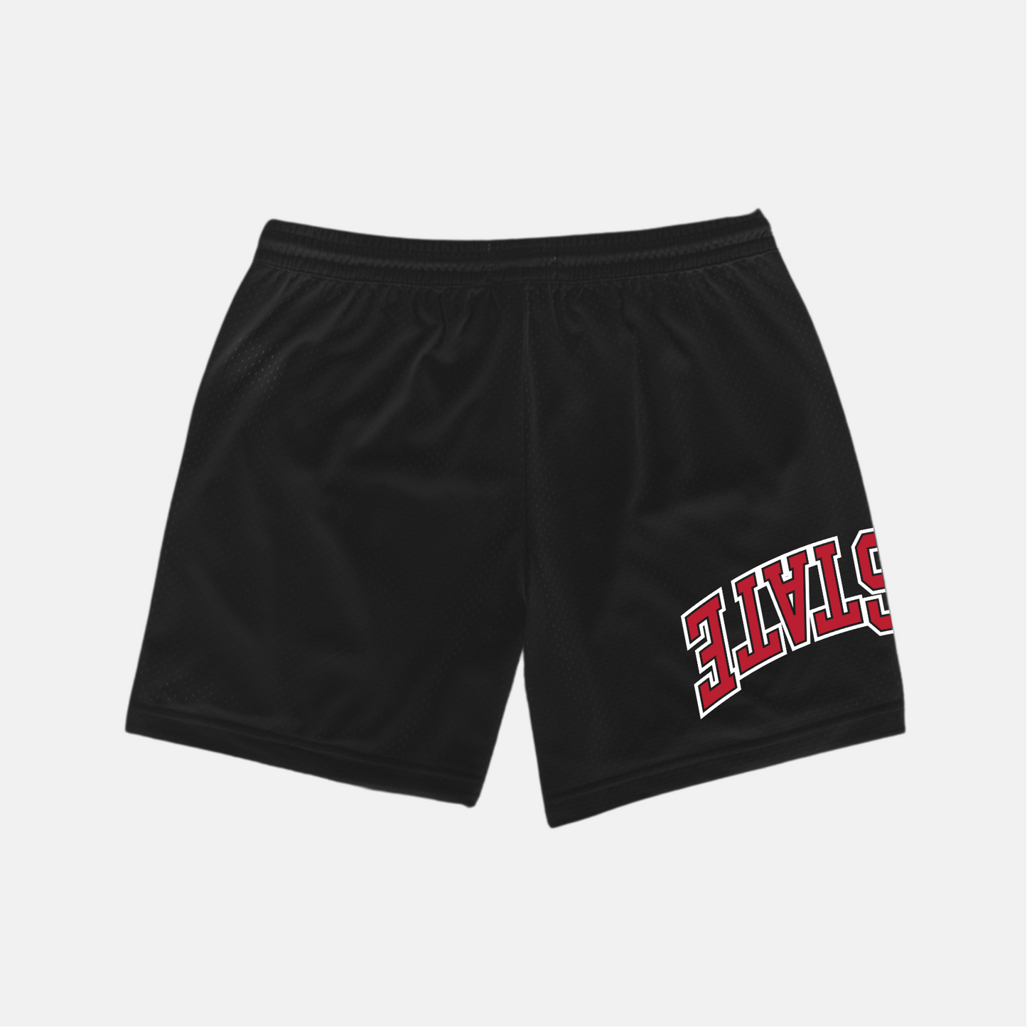 Ohio State x Upside Mesh Shorts
