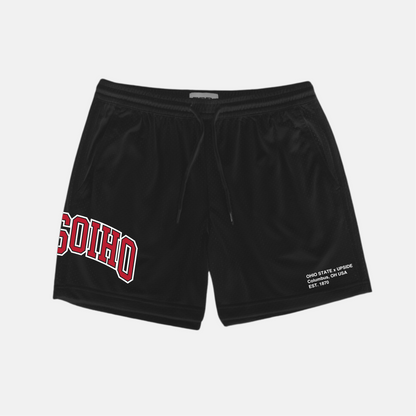 Ohio State x Upside Mesh Shorts