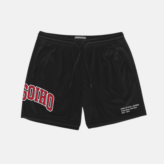 Ohio State x Upside Mesh Shorts