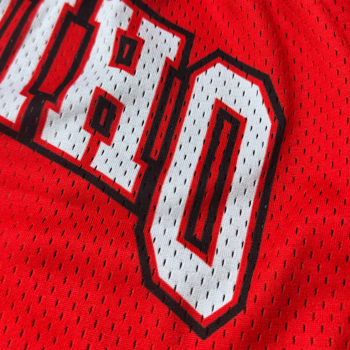 Ohio State Mesh Shorts