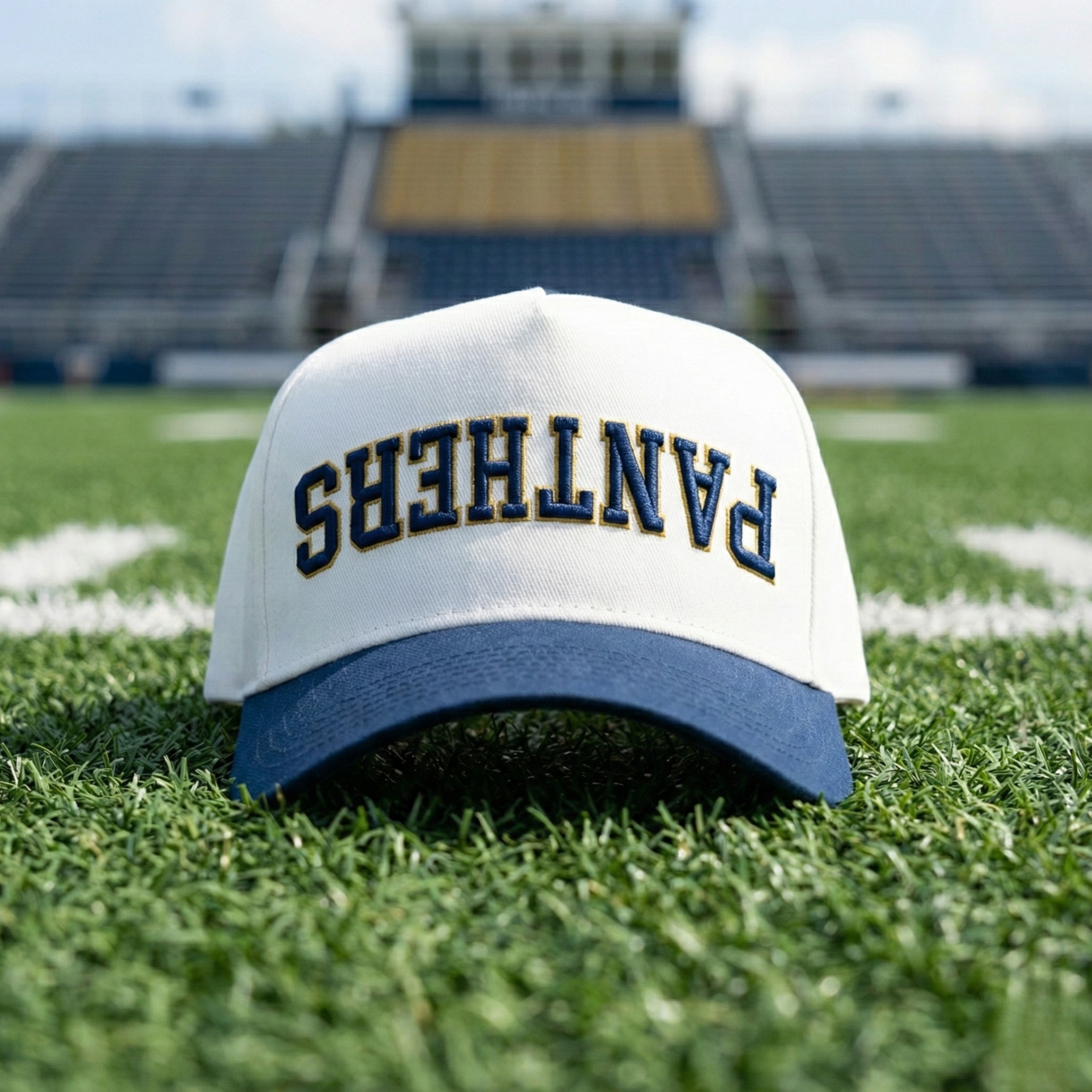 FIU Panthers Hat