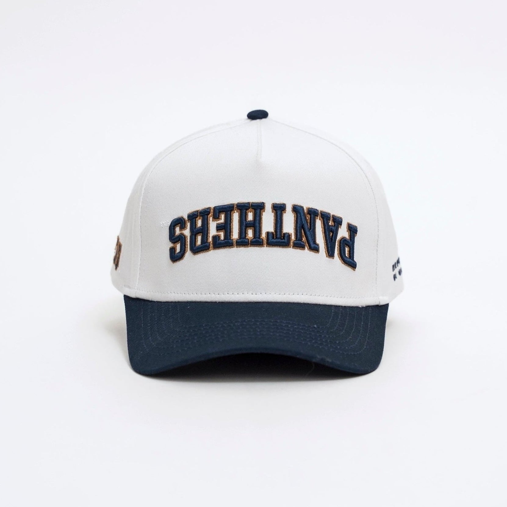 FIU Panthers Hat - UPSIDE