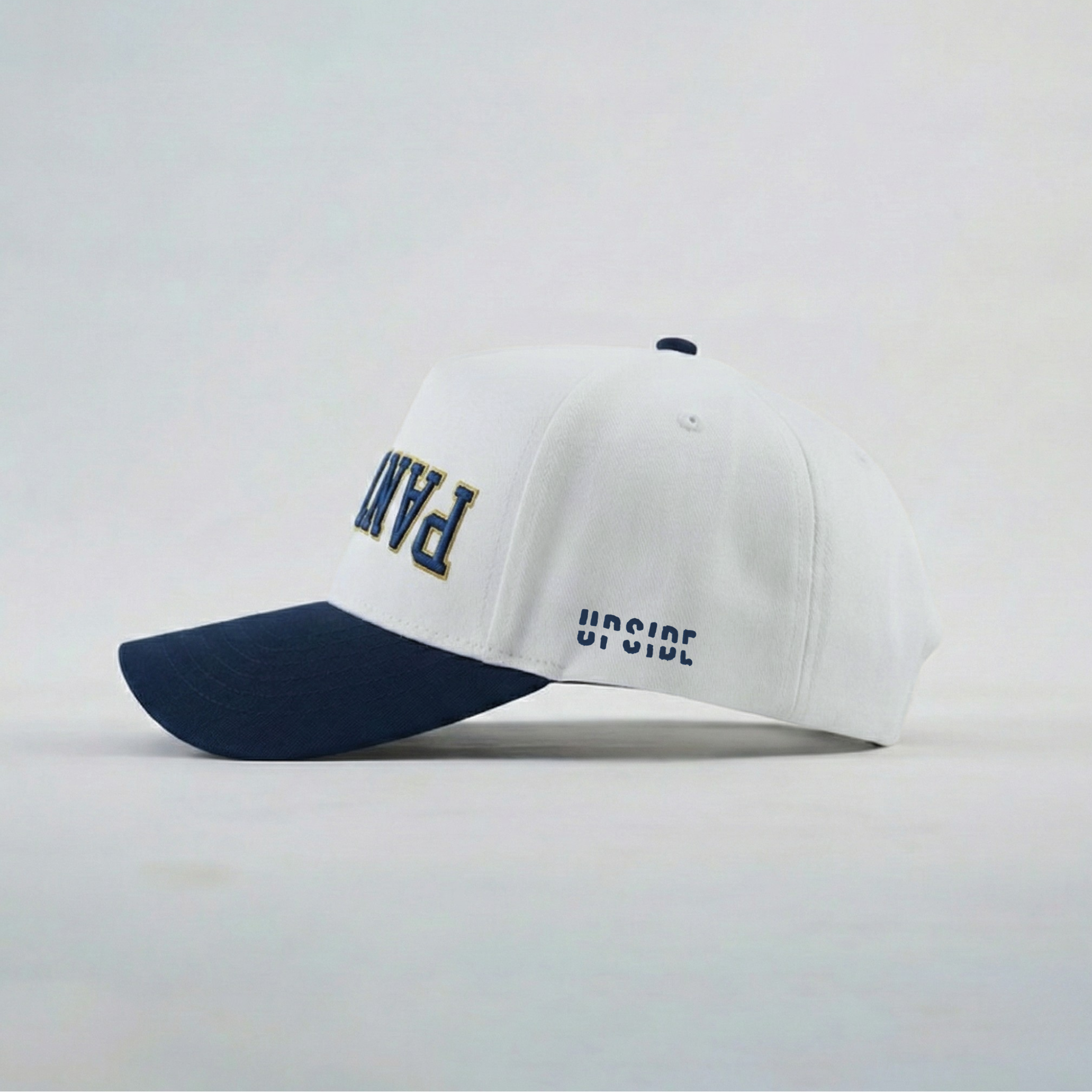FIU Panthers Hat