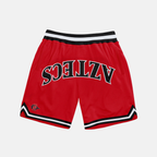 San Diego State Varsity Mesh Shorts - UPSIDE