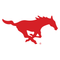 Southern Methodist University